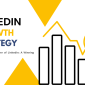 LinkedIn Growth Strategy